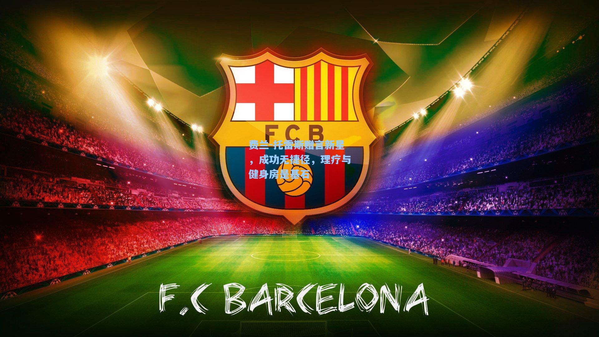 mk体育下载：费兰-托雷斯赠言新星，成功无捷径，理疗与健身房是基石